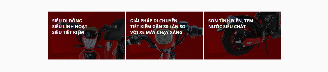 Xe đạp điện Dkbike Samurai 2