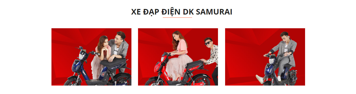 Xe đạp điện Dkbike Samurai 2