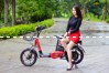 Xe đạp điện Bmx Rose