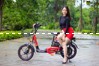 Xe đạp điện Bmx Rose