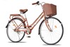Xe đạp học sinh Fornix BH601