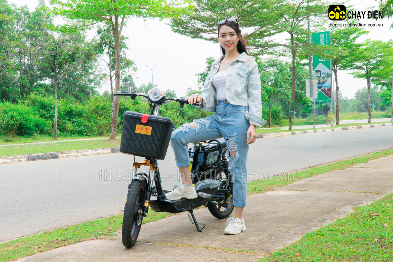 Xe đạp điện Vnbike V3