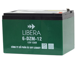 Thiết kế Ắc quy xe đạp điện Libera 12V-12Ah theo tiêu chuẩn quốc tế