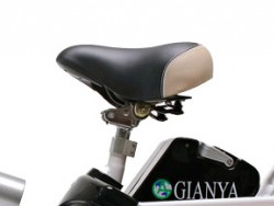 Yên Xe đạp điện Gianya 006